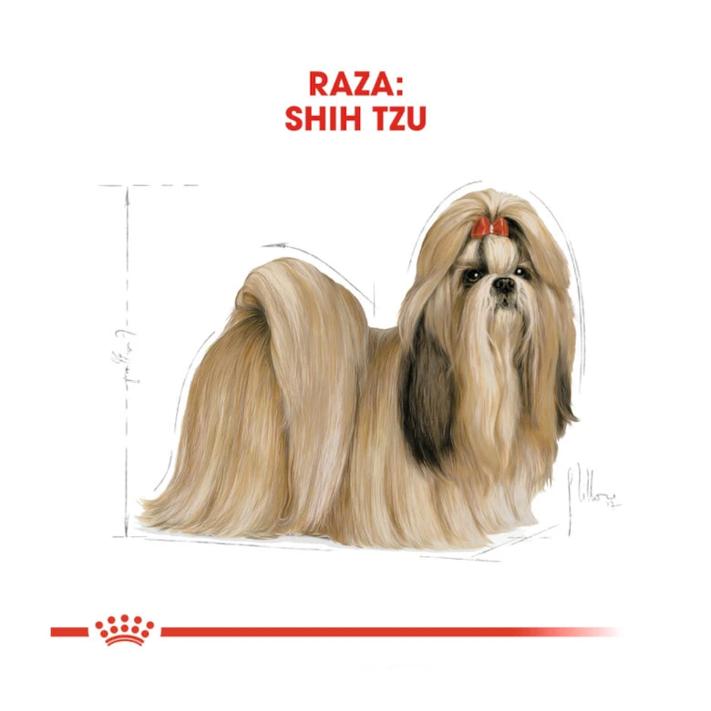 Royal Canin Adult Shih Tzu Pienso Para Perros 6 Royal Canin Adult Shih Tzu Pienso Para Perros - Imagen 4