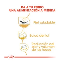 Royal Canin Adult Shih Tzu Pienso Para Perros 15 Royal Canin Adult Shih Tzu Pienso Para Perros -Perros Artículos Tienda pienso perros royal canin adult shih tsu 41126 M 6