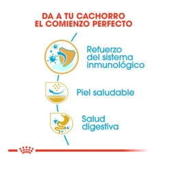 Royal Canin Puppy Carlino Pienso Para Perros 16 Royal Canin Puppy Carlino Pienso Para Perros -Perros Artículos Tienda pienso perros royal canin carlino puppy ROY147136 M206