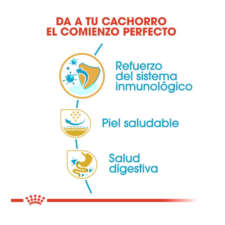 Royal Canin Puppy Carlino Pienso Para Perros 8 Royal Canin Puppy Carlino Pienso Para Perros - Imagen 6