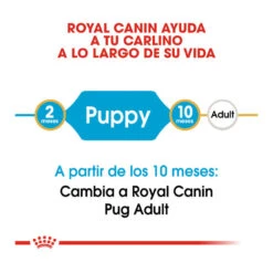 Royal Canin Puppy Carlino Pienso Para Perros 17 Royal Canin Puppy Carlino Pienso Para Perros -Perros Artículos Tienda pienso perros royal canin carlino puppy ROY147136 M207