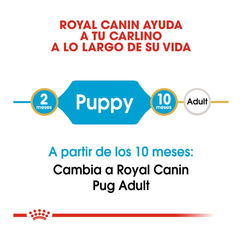 Royal Canin Puppy Carlino Pienso Para Perros 9 Royal Canin Puppy Carlino Pienso Para Perros - Imagen 7