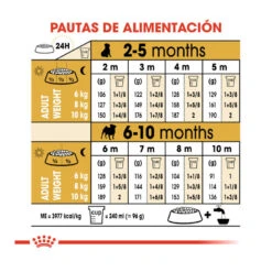 Royal Canin Puppy Carlino Pienso Para Perros 19 Royal Canin Puppy Carlino Pienso Para Perros -Perros Artículos Tienda pienso perros royal canin carlino puppy ROY147136 M209