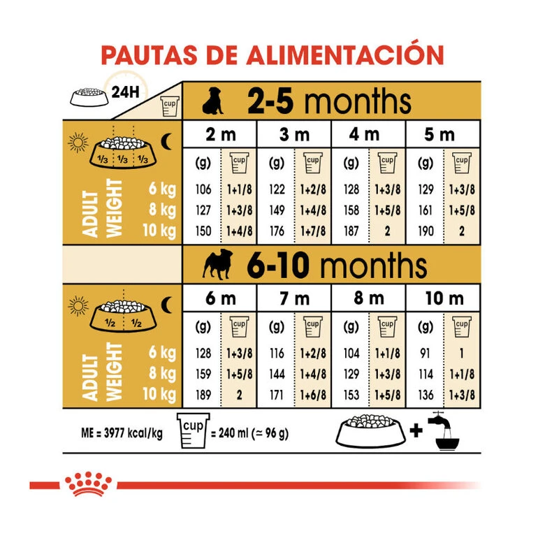 Royal Canin Puppy Carlino Pienso Para Perros 11 Royal Canin Puppy Carlino Pienso Para Perros - Imagen 9