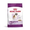 Royal Canin Giant Adult Pienso Para Perros 2 Royal Canin Giant Adult Pienso Para Perros -Perros Artículos Tienda pienso perros royal canin giant adult ROY155171 M 1