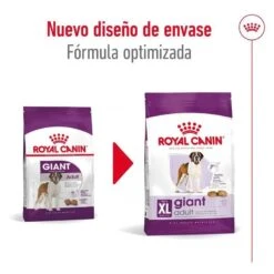 Royal Canin Giant Adult Pienso Para Perros -Perros Artículos Tienda pienso perros royal canin giant adult ROY155171 M 2