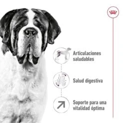 Royal Canin Giant Adult Pienso Para Perros -Perros Artículos Tienda pienso perros royal canin giant adult ROY155171 M 5