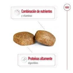 Royal Canin Giant Adult Pienso Para Perros -Perros Artículos Tienda pienso perros royal canin giant adult ROY155171 M 6