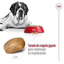 Royal Canin Giant Adult Pienso Para Perros -Perros Artículos Tienda pienso perros royal canin giant adult ROY155171 M 7