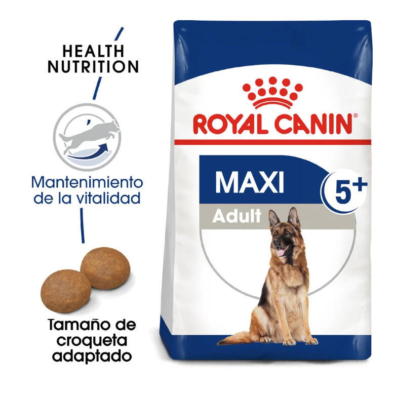 Royal Canin Maxi Adult +5 Pienso Para Perros Senior De Raza Grande 3 Royal Canin Maxi Adult +5 Pienso Para Perros Senior De Raza Grande