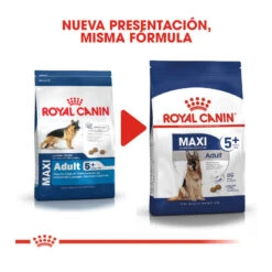 Royal Canin Maxi Adult +5 Pienso Para Perros Senior De Raza Grande 12 Royal Canin Maxi Adult +5 Pienso Para Perros Senior De Raza Grande -Perros Artículos Tienda pienso perros royal canin maxi adult 5 ROY153837 M203