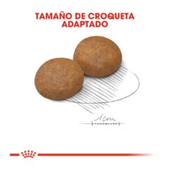 Royal Canin Maxi Adult +5 Pienso Para Perros Senior De Raza Grande 13 Royal Canin Maxi Adult +5 Pienso Para Perros Senior De Raza Grande -Perros Artículos Tienda pienso perros royal canin maxi adult 5 ROY153837 M204