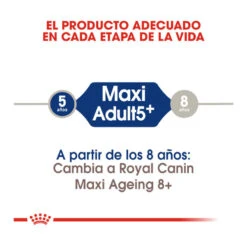 Royal Canin Maxi Adult +5 Pienso Para Perros Senior De Raza Grande 15 Royal Canin Maxi Adult +5 Pienso Para Perros Senior De Raza Grande -Perros Artículos Tienda pienso perros royal canin maxi adult 5 ROY153837 M206