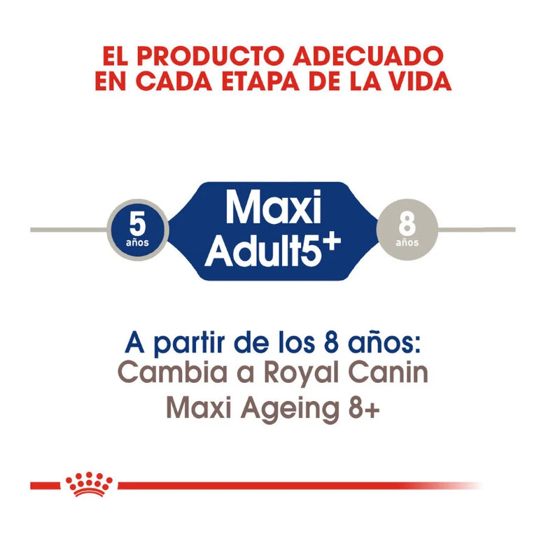 Royal Canin Maxi Adult +5 Pienso Para Perros Senior De Raza Grande 8 Royal Canin Maxi Adult +5 Pienso Para Perros Senior De Raza Grande - Imagen 6