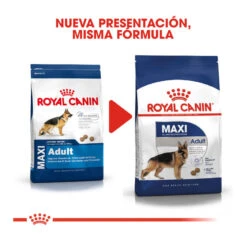 Royal Canin Maxi Adult Pienso Para Perros -Perros Artículos Tienda pienso perros royal canin maxi adult ROY153637 M202
