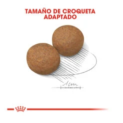 Royal Canin Maxi Adult Pienso Para Perros -Perros Artículos Tienda pienso perros royal canin maxi adult ROY153637 M203