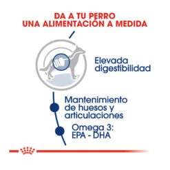 Royal Canin Maxi Adult Pienso Para Perros -Perros Artículos Tienda pienso perros royal canin maxi adult ROY153637 M204