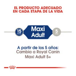 Royal Canin Maxi Adult Pienso Para Perros -Perros Artículos Tienda pienso perros royal canin maxi adult ROY153637 M205