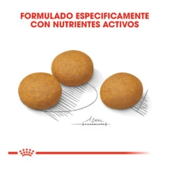 Royal Canin Dermacomfort Maxi Pienso Para Perros -Perros Artículos Tienda pienso perros royal canin maxi dermacomfort ROY153932 M 3