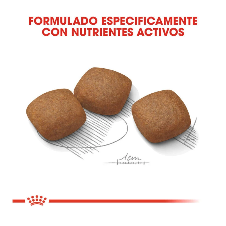 Royal Canin Joint Care Maxi Pienso Para Perros 6 Royal Canin Joint Care Maxi Pienso Para Perros - Imagen 4