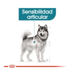 Royal Canin Joint Care Maxi Pienso Para Perros 14 Royal Canin Joint Care Maxi Pienso Para Perros -Perros Artículos Tienda pienso perros royal canin maxi joint care ROY153132 M 4