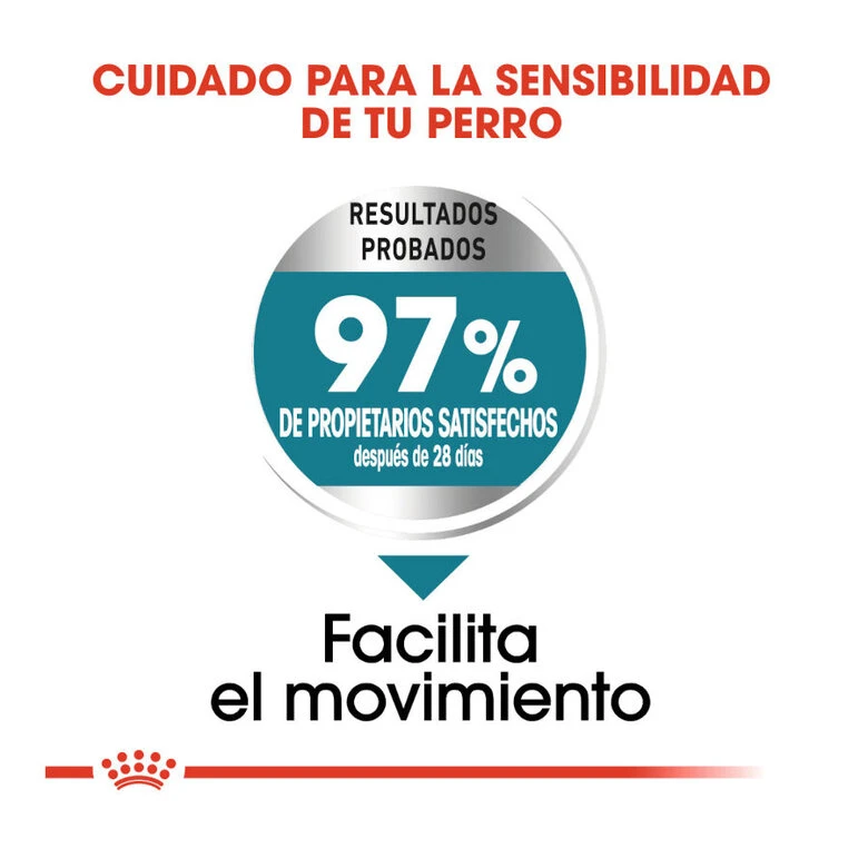 Royal Canin Joint Care Maxi Pienso Para Perros 9 Royal Canin Joint Care Maxi Pienso Para Perros - Imagen 7