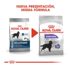 Royal Canin Sterilised Maxi Pienso Para Perros -Perros Artículos Tienda pienso perros royal canin maxi sterilised ROY153764 M203
