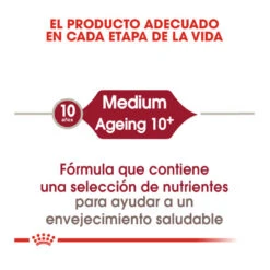Royal Canin Medium 10+ Ageing Pienso Para Perros -Perros Artículos Tienda pienso perros royal canin medium ageing 10 ROY152370206
