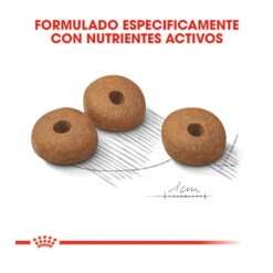 Royal Canin Medium Light Weight Care Pienso Para Perros -Perros Artículos Tienda pienso perros royal canin medium light weight care ROY152434 M203