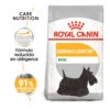 Royal Canin Dermacomfort Mini Pienso Para Perros -Perros Artículos Tienda pienso perros royal canin mini dermacomfort ROY151631 M 1