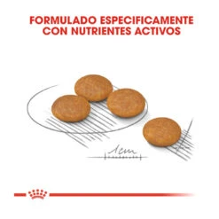 Royal Canin Dermacomfort Mini Pienso Para Perros -Perros Artículos Tienda pienso perros royal canin mini dermacomfort ROY151631 M 3