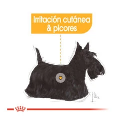 Royal Canin Dermacomfort Mini Pienso Para Perros -Perros Artículos Tienda pienso perros royal canin mini dermacomfort ROY151631 M 4