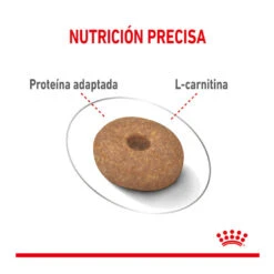 Royal Canin Mini Light Weight Care Pienso Para Perros 13 Royal Canin Mini Light Weight Care Pienso Para Perros -Perros Artículos Tienda pienso perros royal canin mini light weight care ROY150931 M204