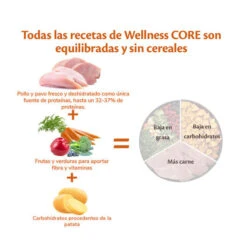 Wellness Core Adult Small Healthy Pavo Pienso Para Perros 10 Wellness Core Adult Small Healthy Pavo Pienso Para Perros -Perros Artículos Tienda pienso perros wellnesss core razas pequenas healthy weight WEL10738 M 4