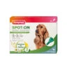Beaphar Pipetas Repelentes Para Perros Medianos -Perros Artículos Tienda pipetas antiparasitarias perros medianos beaphar spot on BEA10615
