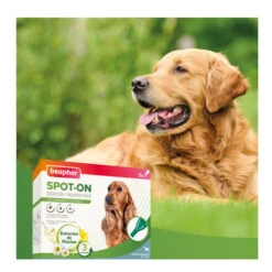 Beaphar Pipetas Repelentes Para Perros Medianos -Perros Artículos Tienda pipetas antiparasitarias perros medianos beaphar spot on BEA10615 03