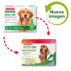 Beaphar Pipetas Repelentes Para Perros Medianos -Perros Artículos Tienda pipetas antiparasitarias perros medianos beaphar spot on BEA10615 1