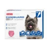 Beaphar Caniguard Duo Pipetas Antiparasitarias Para Perros Pequeños 1 Beaphar Caniguard Duo Pipetas Antiparasitarias Para Perros Pequeños -Perros Artículos Tienda pipetas caniguard beaphar S BEA17045 M