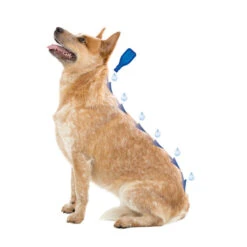 Beaphar Caniguard Duo Pipetas Antiparasitarias Para Perros Pequeños -Perros Artículos Tienda pipetas caniguard beaphar S BEA17045 M 3