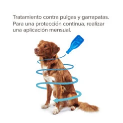 Beaphar FiproTec Pipetas Para Perros De Razas Grandes -Perros Artículos Tienda pipetas perros beaphar fiprotec razas grandes BEA16479 1