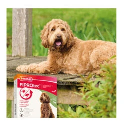 Beaphar FiproTec Pipetas Para Perros De Razas Grandes -Perros Artículos Tienda pipetas perros beaphar fiprotec razas grandes BEA16479 7