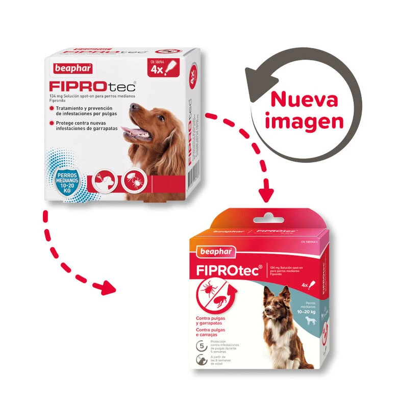 Beaphar FiproTec Pipetas Para Perros De Razas Medianas 4 Beaphar FiproTec Pipetas Para Perros De Razas Medianas - Imagen 2
