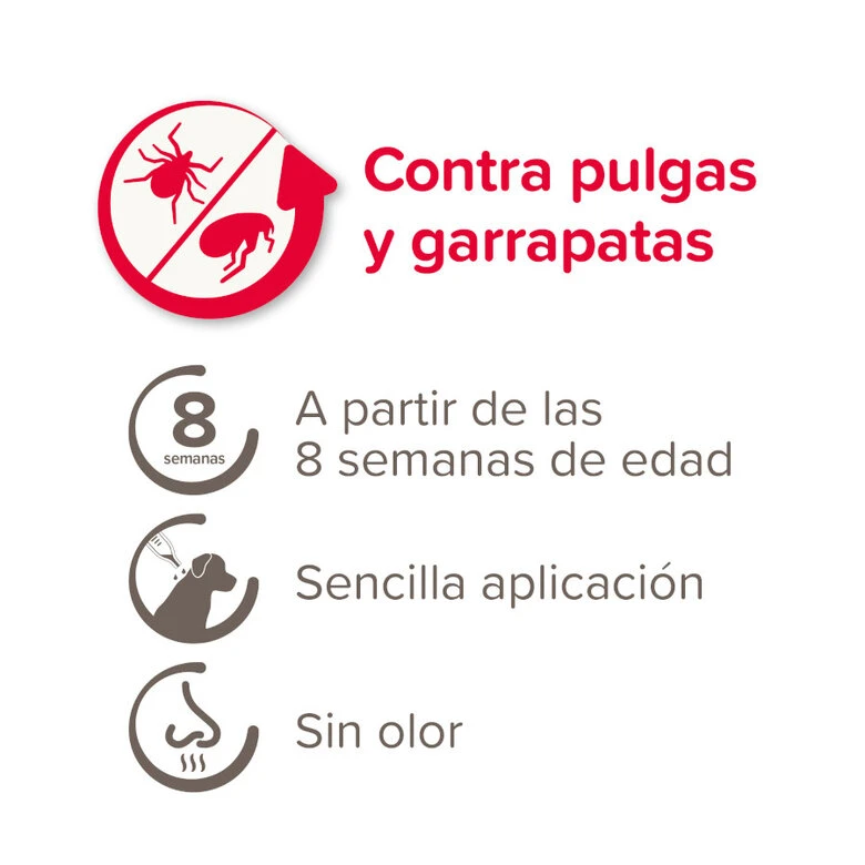 Beaphar FiproTec Pipetas Para Perros De Razas Medianas 6 Beaphar FiproTec Pipetas Para Perros De Razas Medianas - Imagen 4