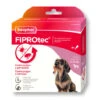 Beaphar FiproTec Pipetas Para Perros De Razas Pequeñas -Perros Artículos Tienda pipetas perros beaphar fiprotec razas pequenas BEA16455