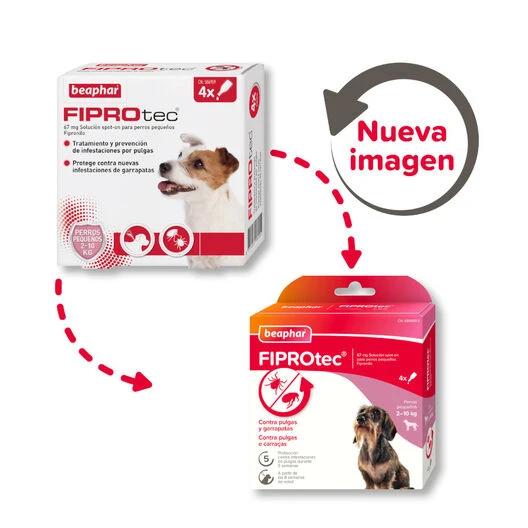 Beaphar FiproTec Pipetas Para Perros De Razas Pequeñas 4 Beaphar FiproTec Pipetas Para Perros De Razas Pequeñas - Imagen 2