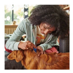 Beaphar FiproTec Pipetas Para Perros De Razas Pequeñas 16 Beaphar FiproTec Pipetas Para Perros De Razas Pequeñas -Perros Artículos Tienda pipetas perros beaphar fiprotec razas pequenas BEA16455 3