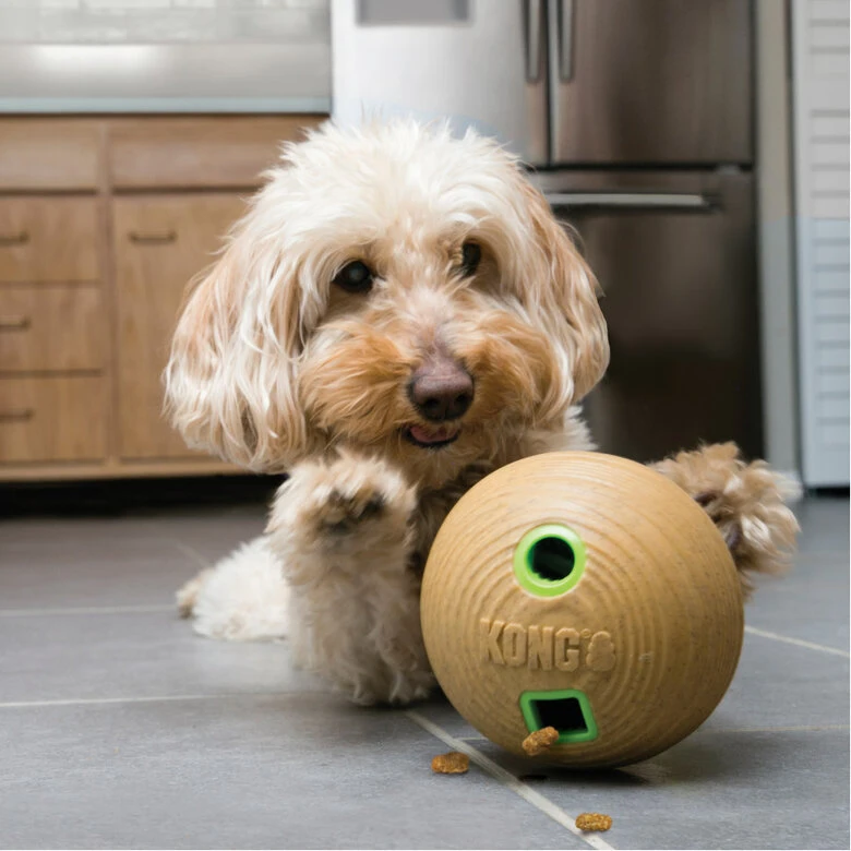Kong Bamboo Pelota Portagolosinas Para Perros - Imagen 2