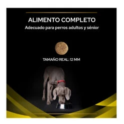 Pro Plan Vererinary Diets Neurocare Pienso Para Perros -Perros Artículos Tienda pro plan dog neurocare PVD12413767 3