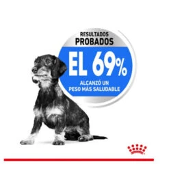Royal Canin Light Weight Care Small Pienso Para Perros 11 Royal Canin Light Weight Care Small Pienso Para Perros -Perros Artículos Tienda royal canin x small pienso light ROY1230200 5