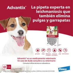 Bayer Advantix Pipetas Antiparasitarias Para Perros -Perros Artículos Tienda salud perros advantix pipetas BAY01718 02